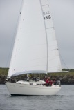 orwell lass 2481c whyw18 thr gjmc 8746w